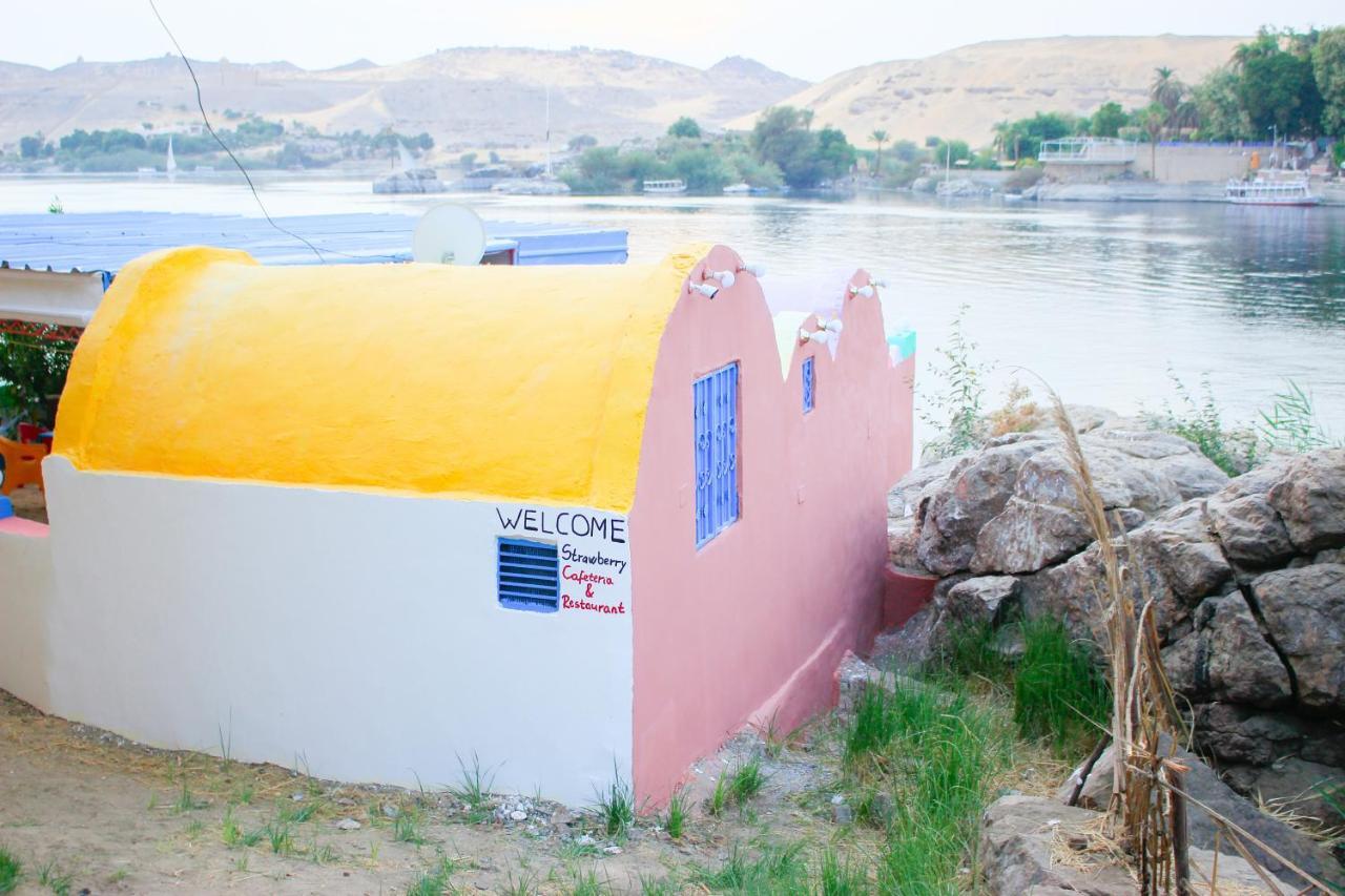 Hamo Guest House أسوان المظهر الخارجي الصورة
