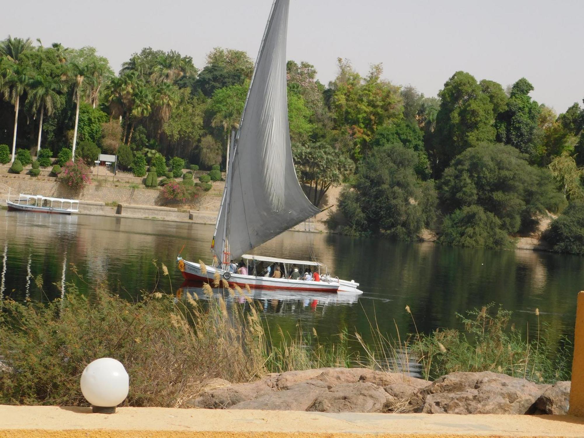 Hamo Guest House أسوان المظهر الخارجي الصورة