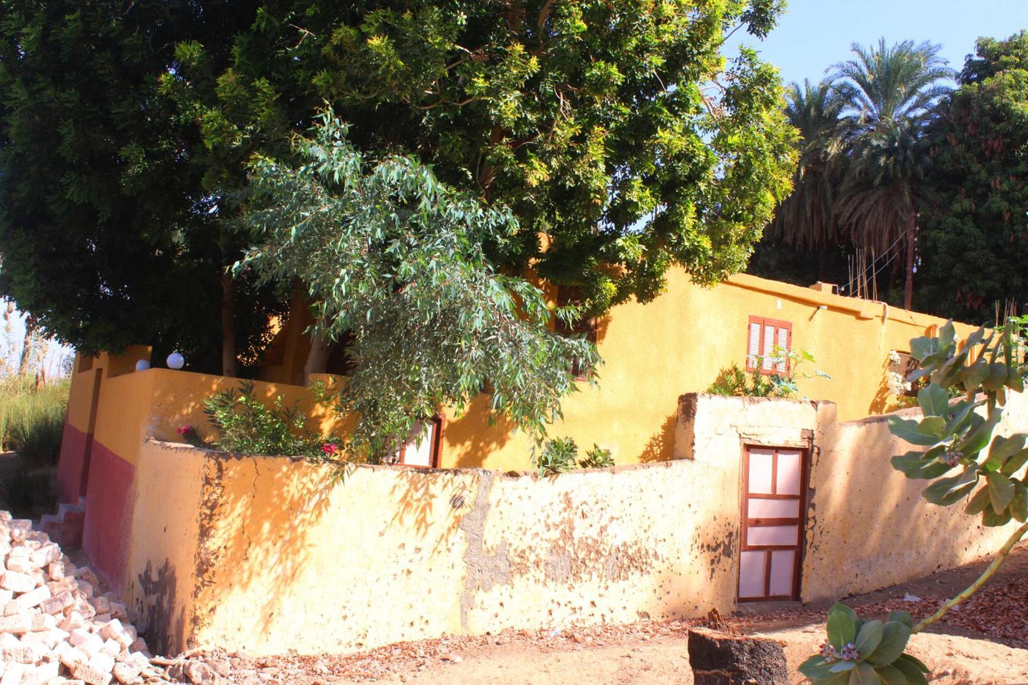Hamo Guest House أسوان المظهر الخارجي الصورة