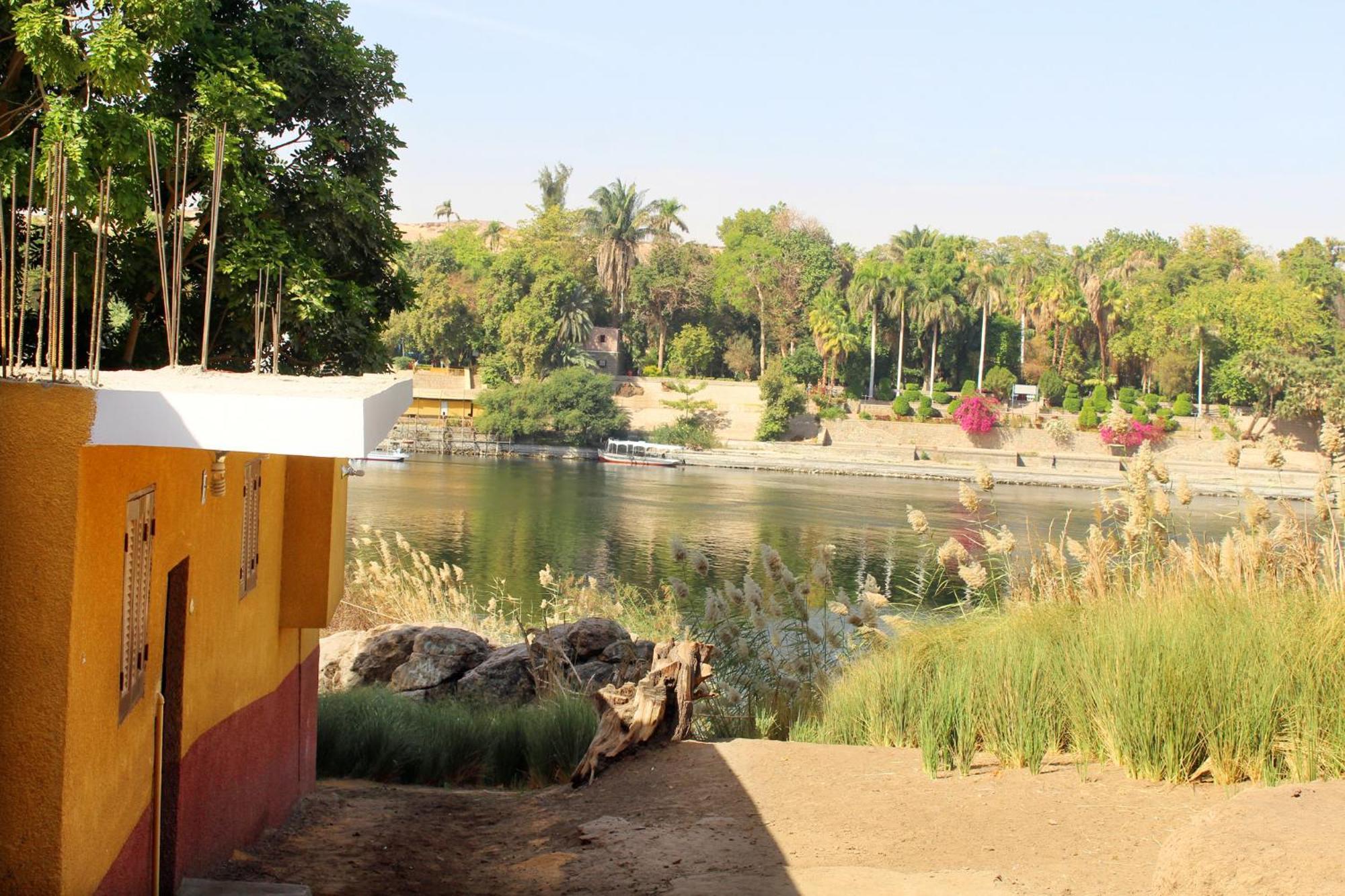 Hamo Guest House أسوان المظهر الخارجي الصورة