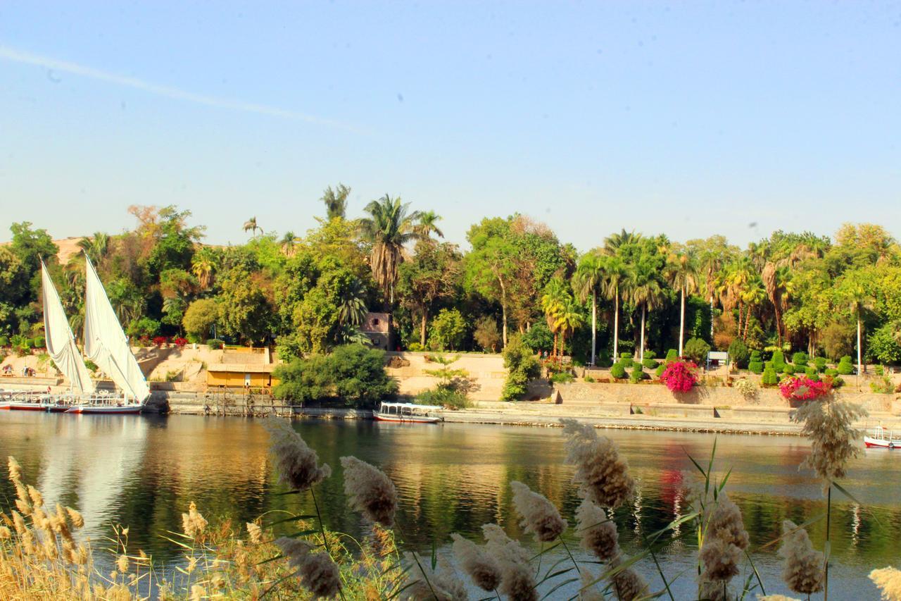 Hamo Guest House أسوان المظهر الخارجي الصورة